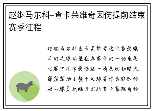 赵继马尔科-查卡莱维奇因伤提前结束赛季征程